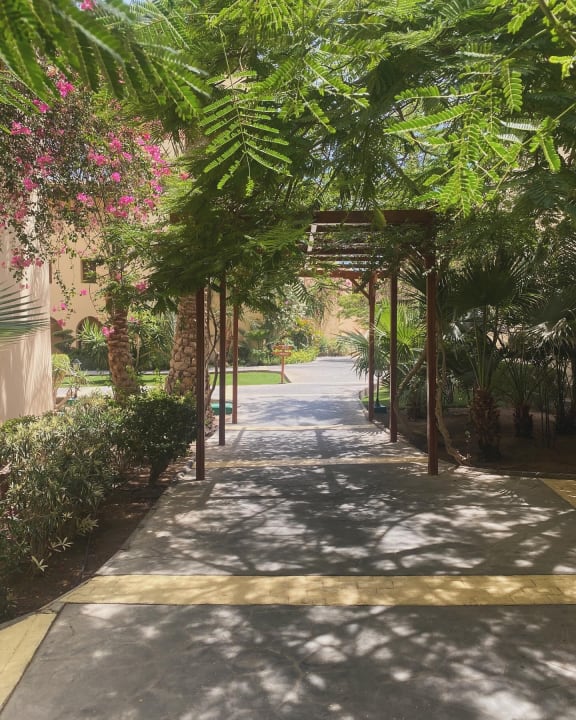 Außenansicht Steigenberger Coraya Beach - Adults only