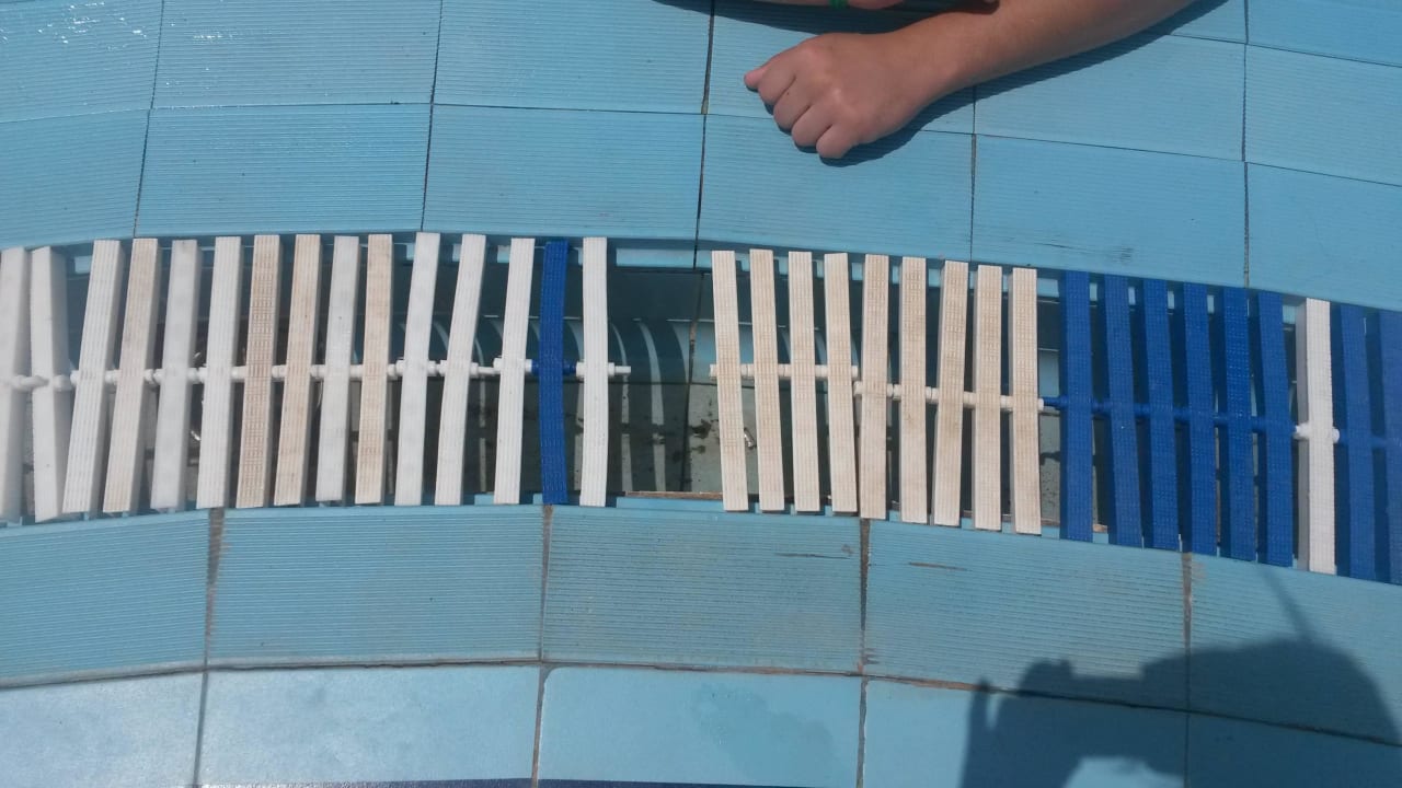 Ringsherum kaputte Stellen Desert Rose