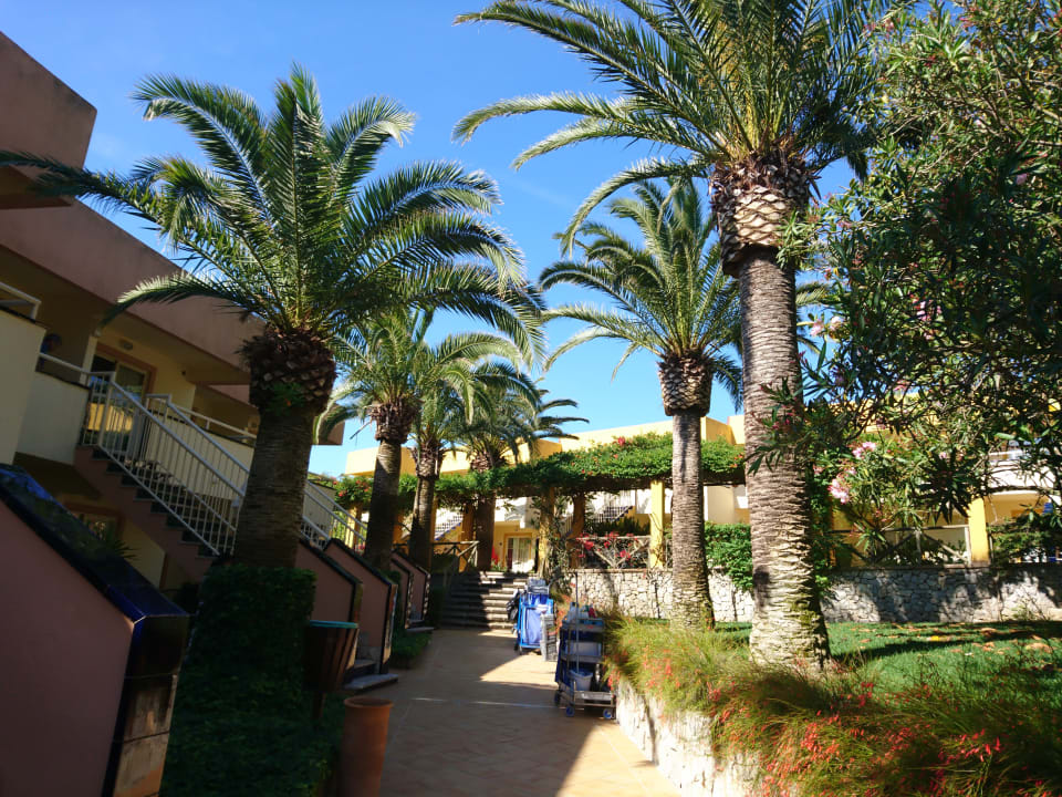 Zimmer Zafiro Cala Mesquida
