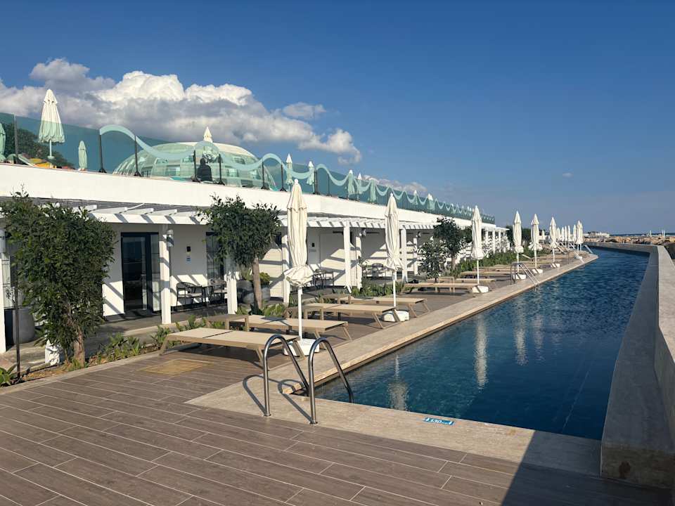 Zimmer Gold Island Selected