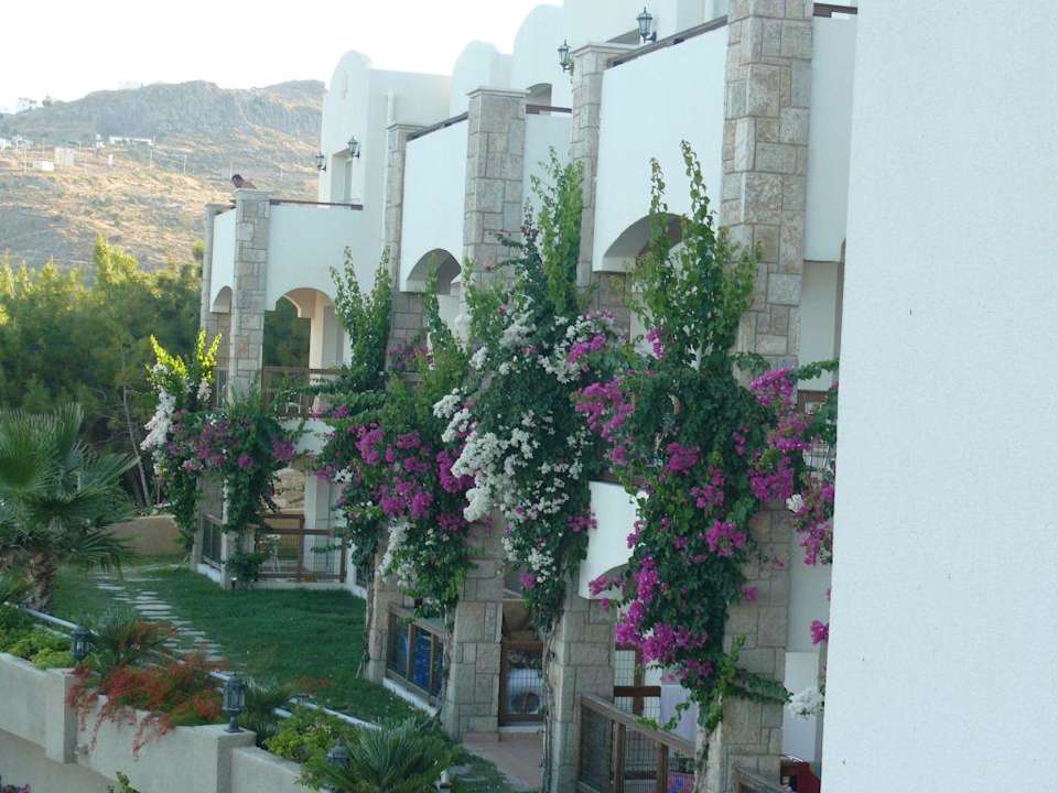 Hotel light hause Jura Hotels Bodrum Resort