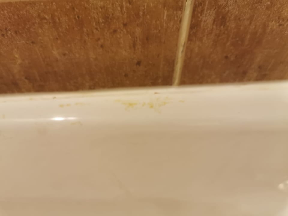 Zimmer Lahami Bay Beach Resort