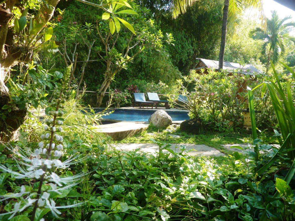 Gartenanlage Saraswati Holiday House