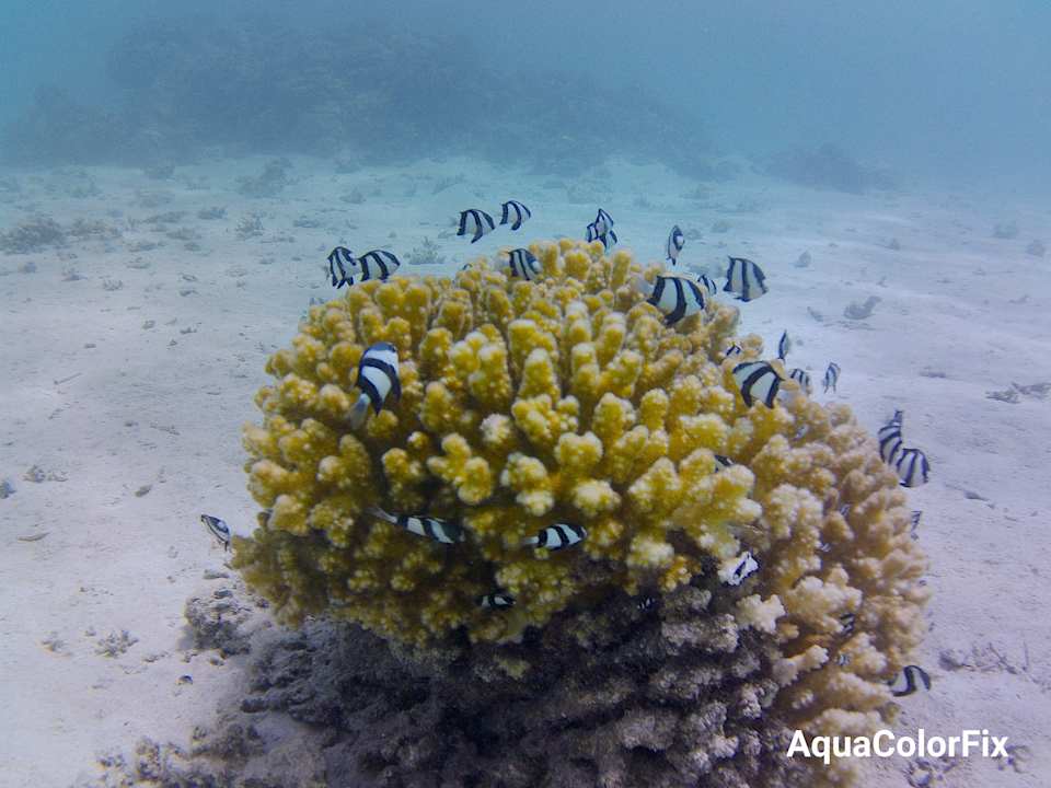 Strand Three Corners Sea Beach Resort
