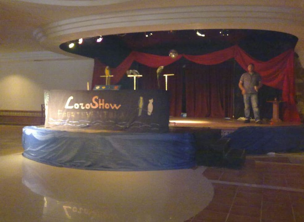 Animationsprogramm am Abend Hotel Royal Suite