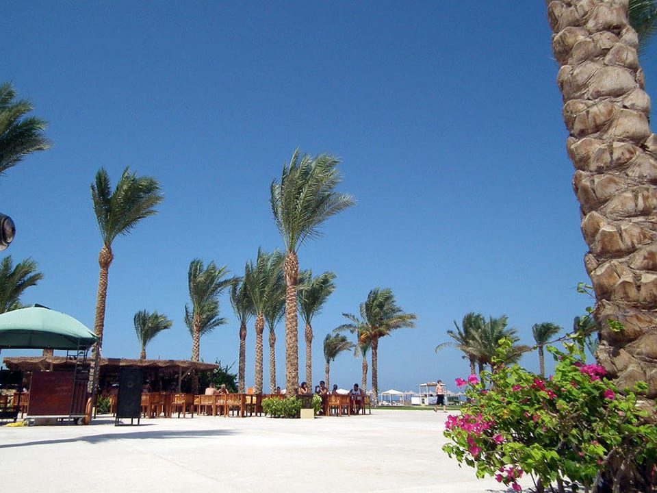Strandbar mit Blick aufs Meer Stella Beach Resort & Spa Makadi Bay
