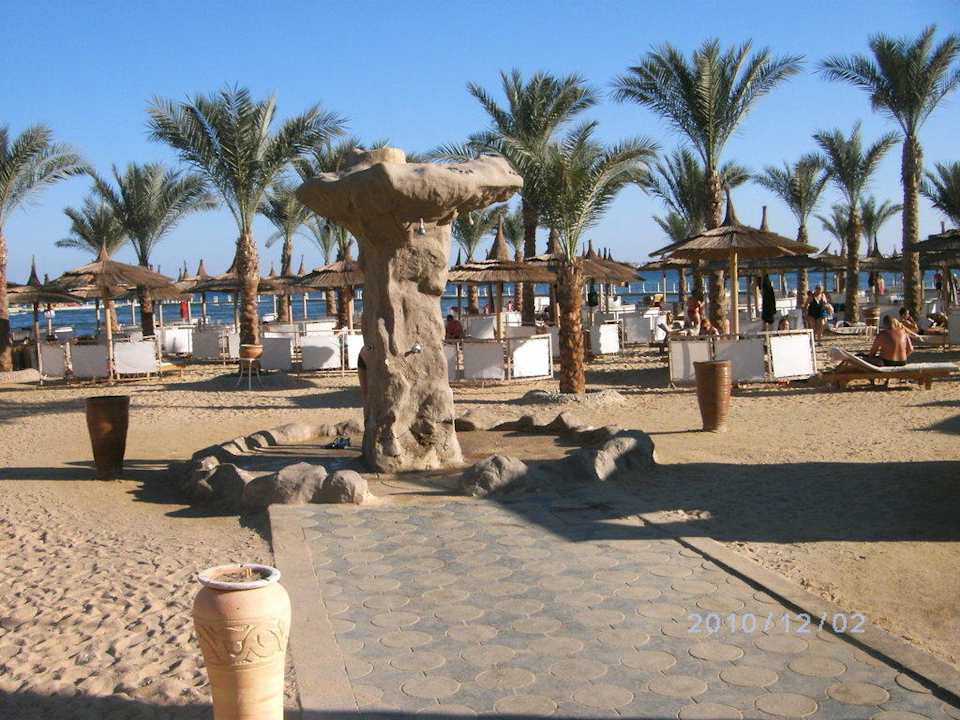 Strandblick  Pickalbatros Palace Resort