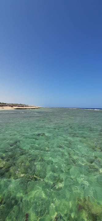 Strand Pickalbatros Palace Hotel-Port Ghalib