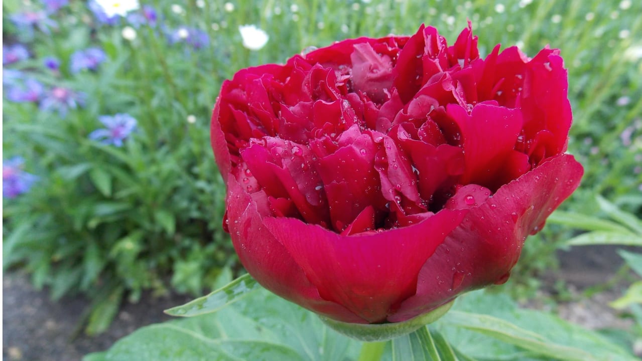 Sonstiges Ferienhof - Bauernhof Hefele