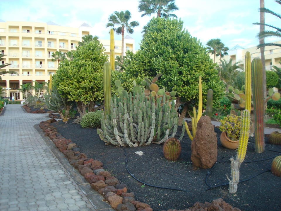 Garten Hotel Riu Gran Canaria