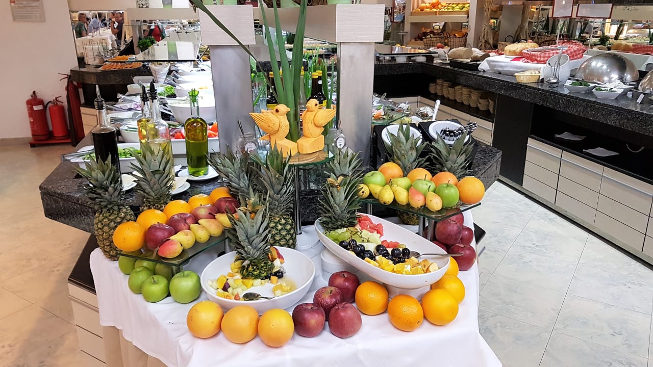 Gastro GRIFID Vistamar