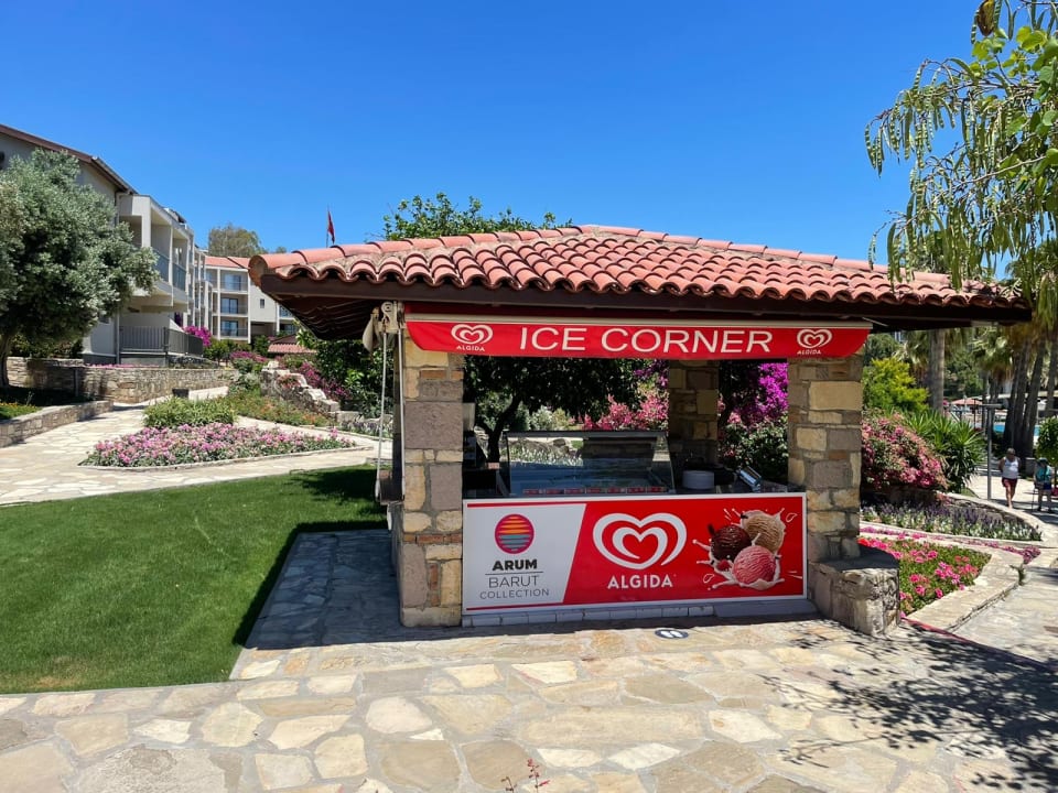 Gastro Arum Barut Collection