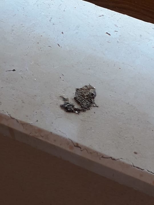 Zimmer Continental Hotel Hurghada