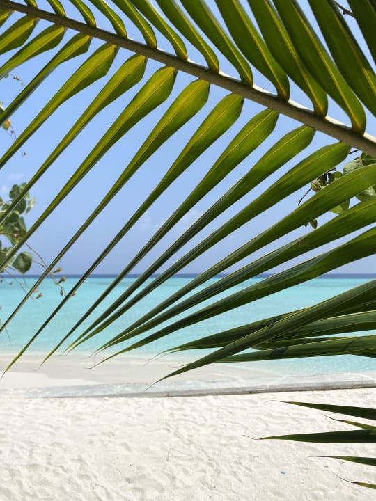 Strand Dhigufaru Island Resort