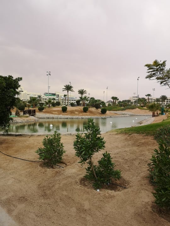 Gartenanlage Steigenberger Aqua Magic