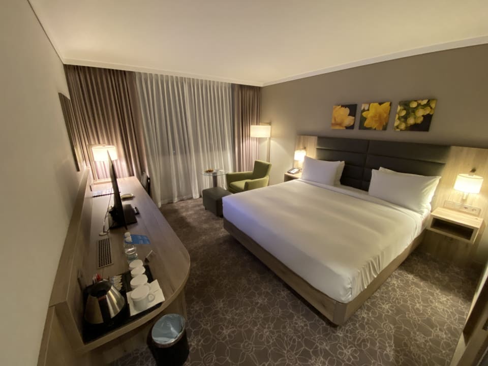 Zimmer Hilton Garden Inn Wiener Neustadt