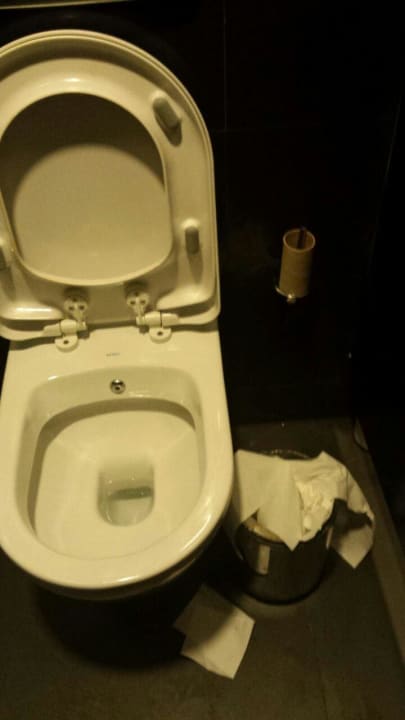 Hotel-WC ohne Tagesreinigung Side Alegria Hotel & Spa - Adults only +16