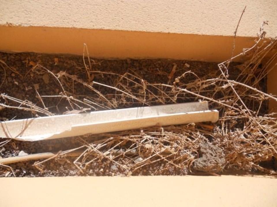 Balkon Elba Lucía Sport & Suite Hotel