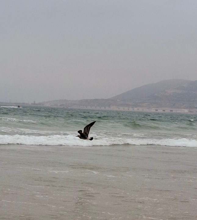Strand Iberostar Waves Founty Beach