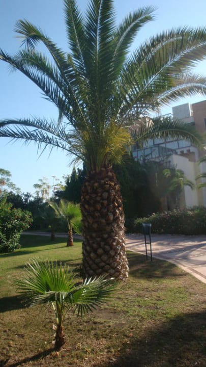 Hotel Limak Limra Limak Limra Hotel & Resort