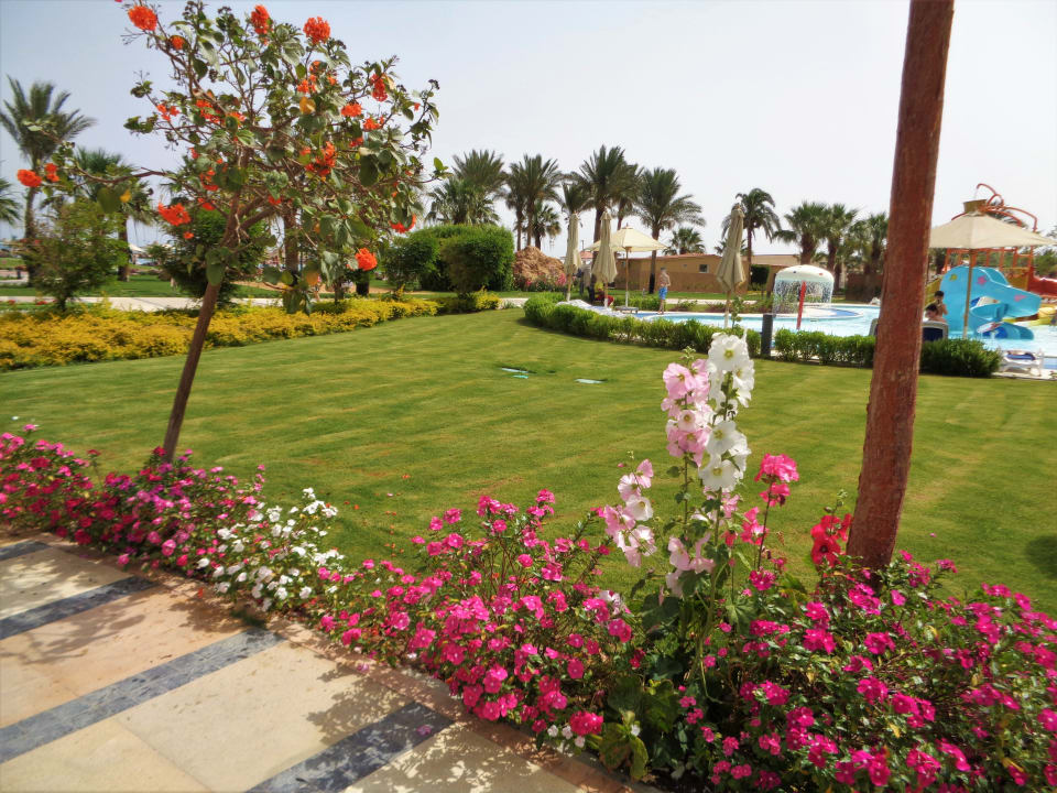 Gartenanlage Hilton Hurghada Plaza