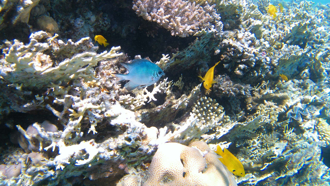 Sport & Freizeit Makadi Spa - Adults only