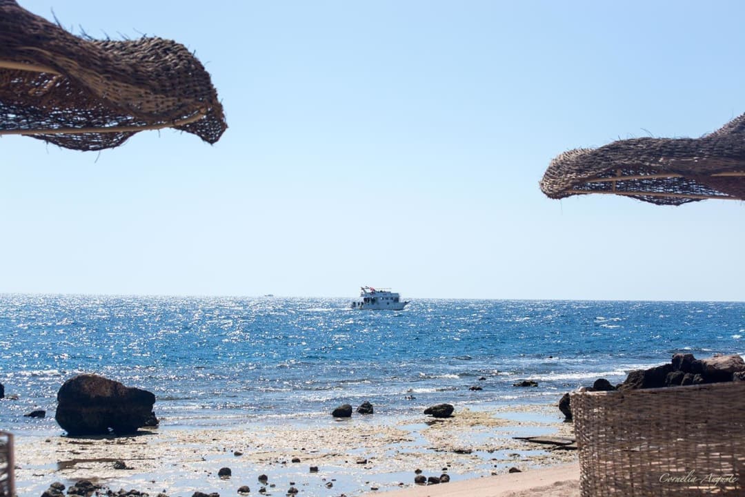 Genuss pur Pickalbatros Citadel Resort