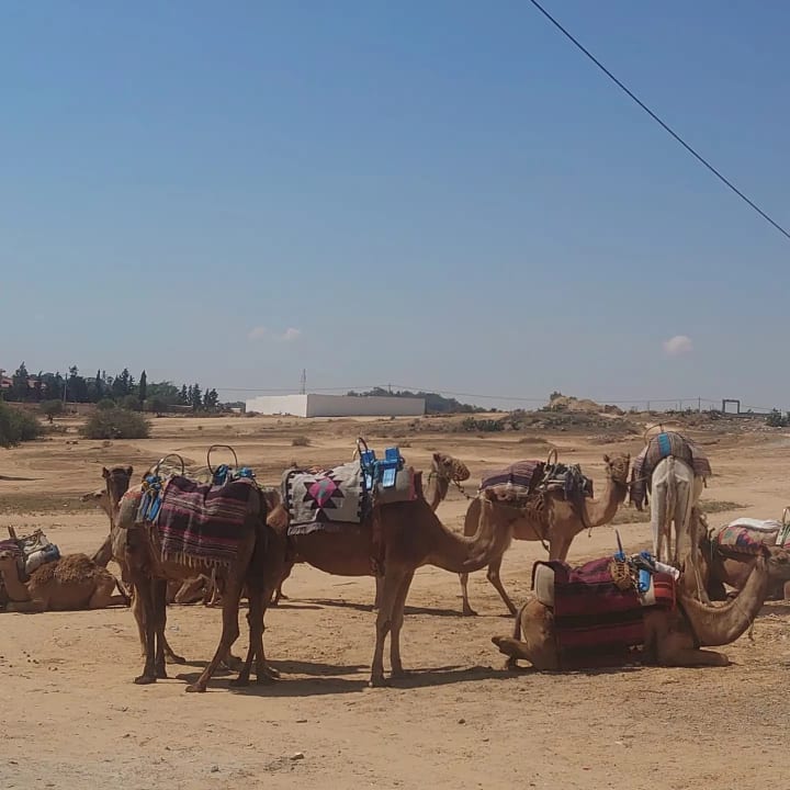 Sonstiges Hotel Marhaba Club