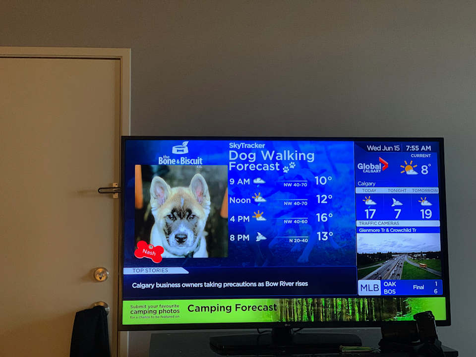 Zimmer Hotel Hilton Garden Inn Calgary Arpt