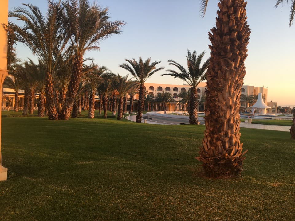 Gartenanlage Iberostar Waves Averroes