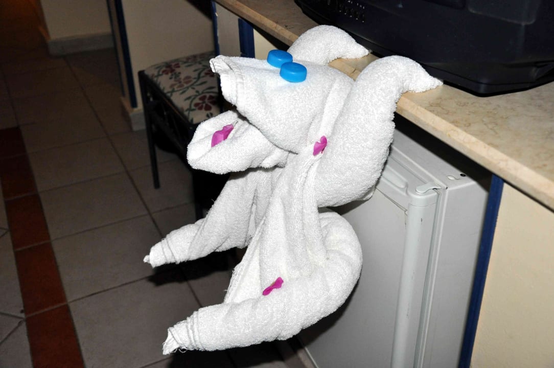 Handtuchtier Jaz Makadi Oasis Resort