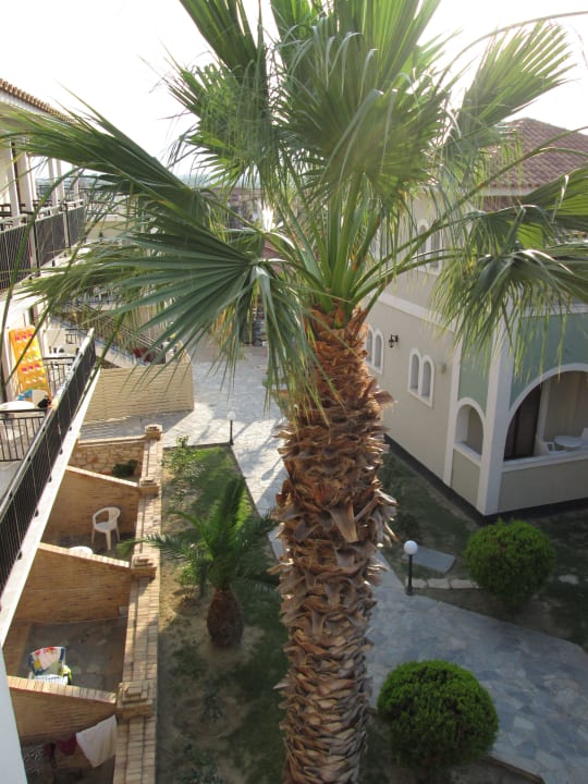 Hotel SuneoClub Cavo D'Oro Hotel