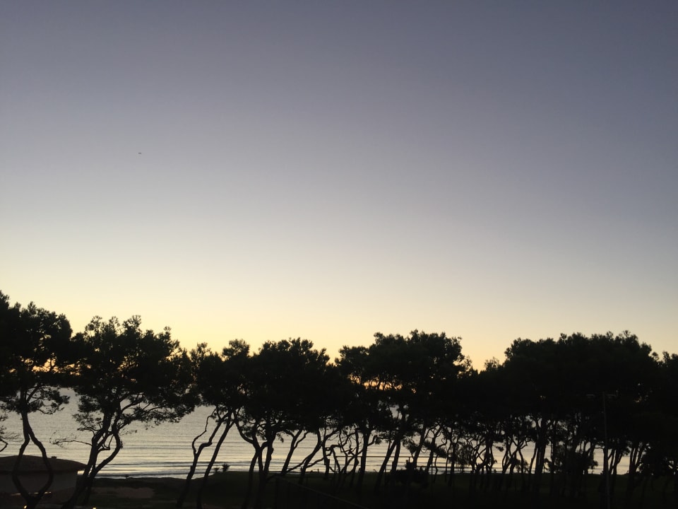 Ausblick Iberostar Waves Playa de Muro