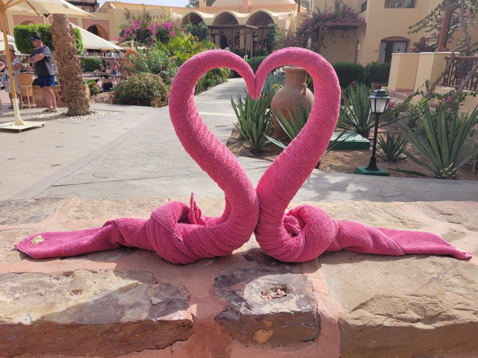 Gartenanlage Steigenberger Coraya Beach - Adults only