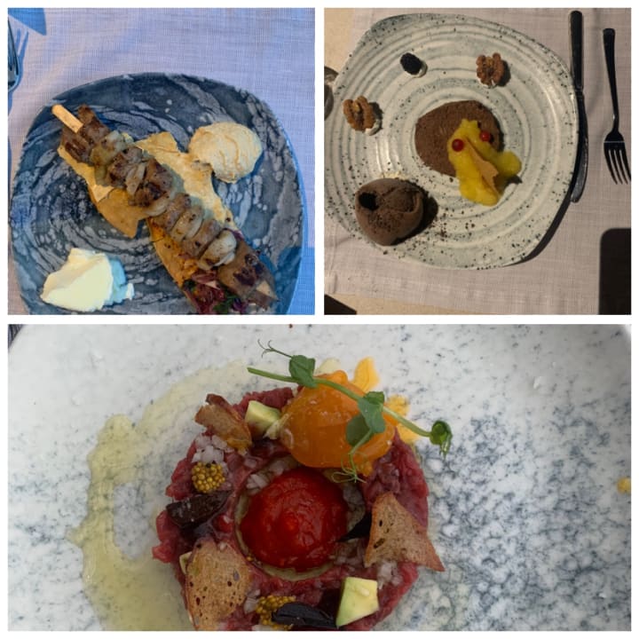 Gastro Paloma Finesse