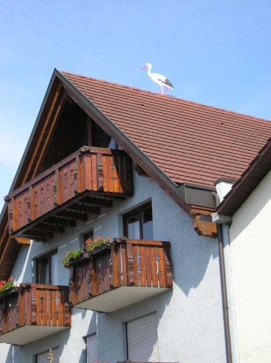 Hotel La Cigogne Hotel La Cigogne