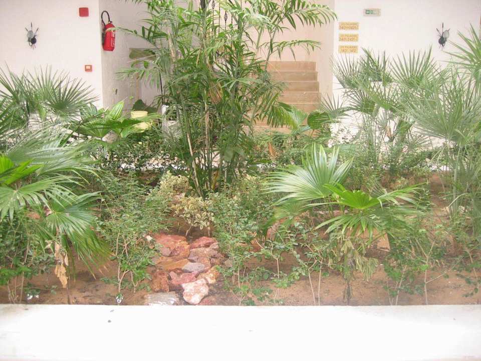 Innenhof Hotel Nesrine