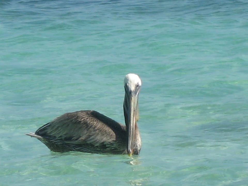 Strand Villas Bavaro Resort & Spa