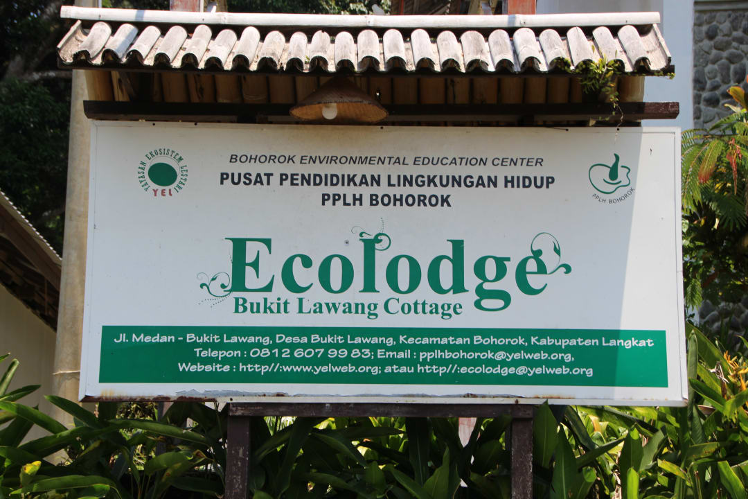 Sonstiges Ecolodge Bukit Lawang