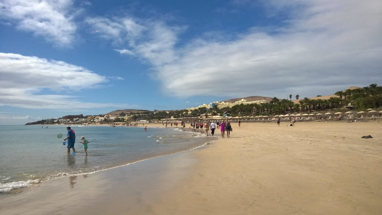 Strand bei Ebbe Sotavento Beach Club