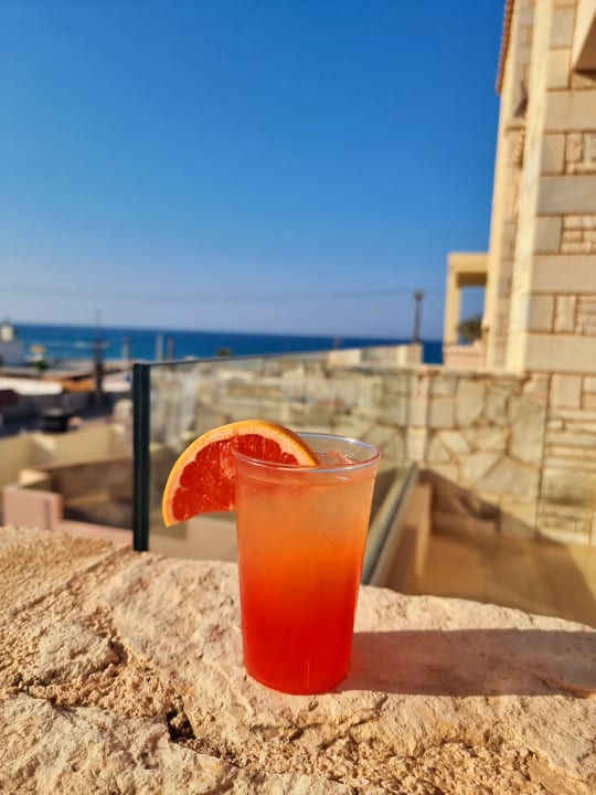 Ausblick Cactus Royal