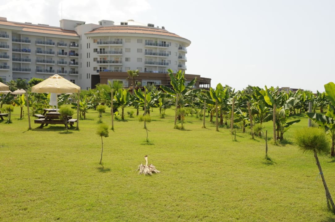 Blick vom Garten aus das Hotel Seaden Sea World Resort & Spa