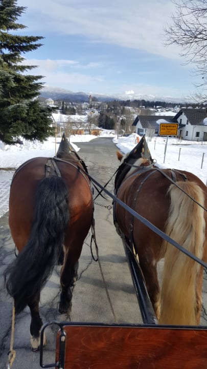 Sport & Freizeit Bayerwald-Ferienhof Schmid
