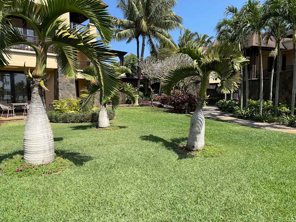 Ausblick The Westin Turtle Bay Resort & Spa