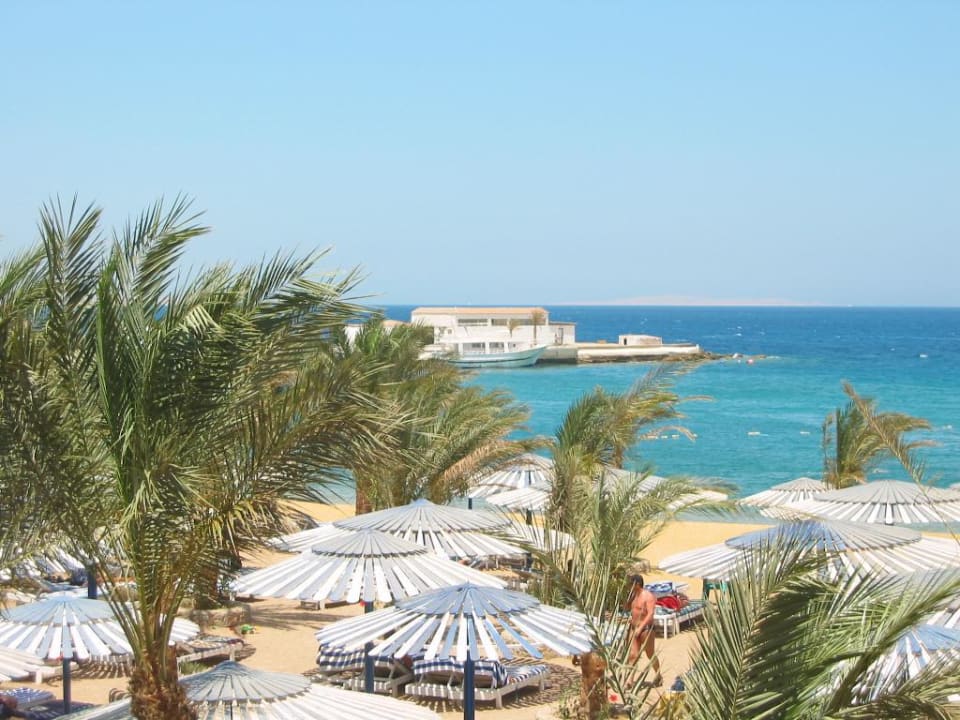 Primasol Beach Albatros Beach Albatros Resort