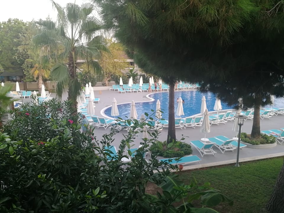 Ausblick Master Family Club