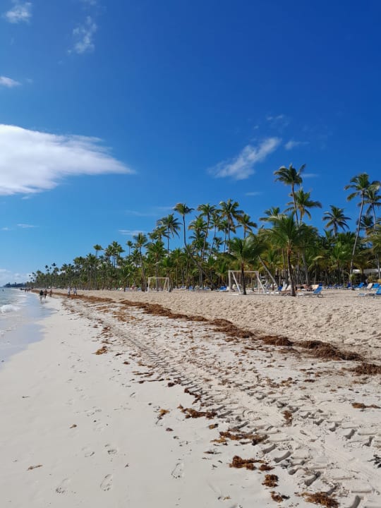 Strand Iberostar Waves Punta Cana