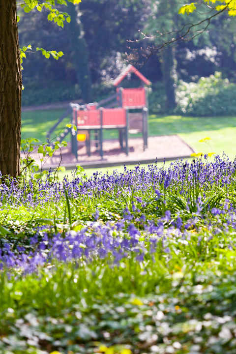 Gartenanlage Langstone Cliff Hotel