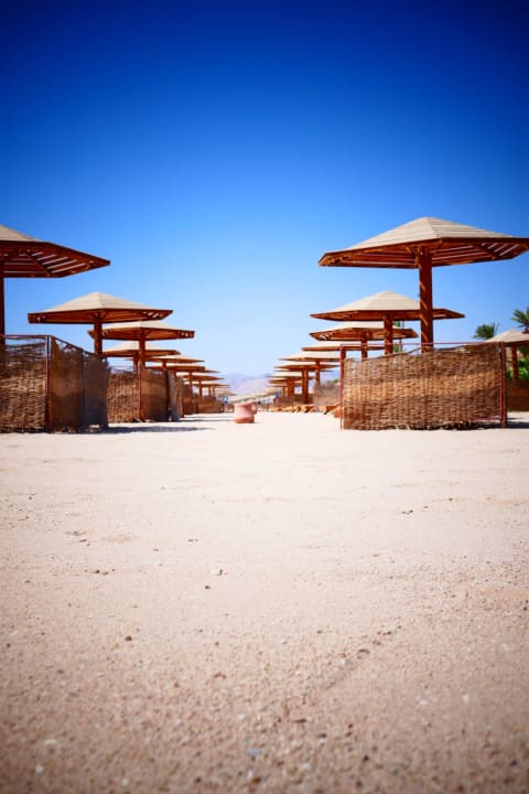 Sandstrand mit vielen Liegen Shams Prestige Abu Soma-Adults Only