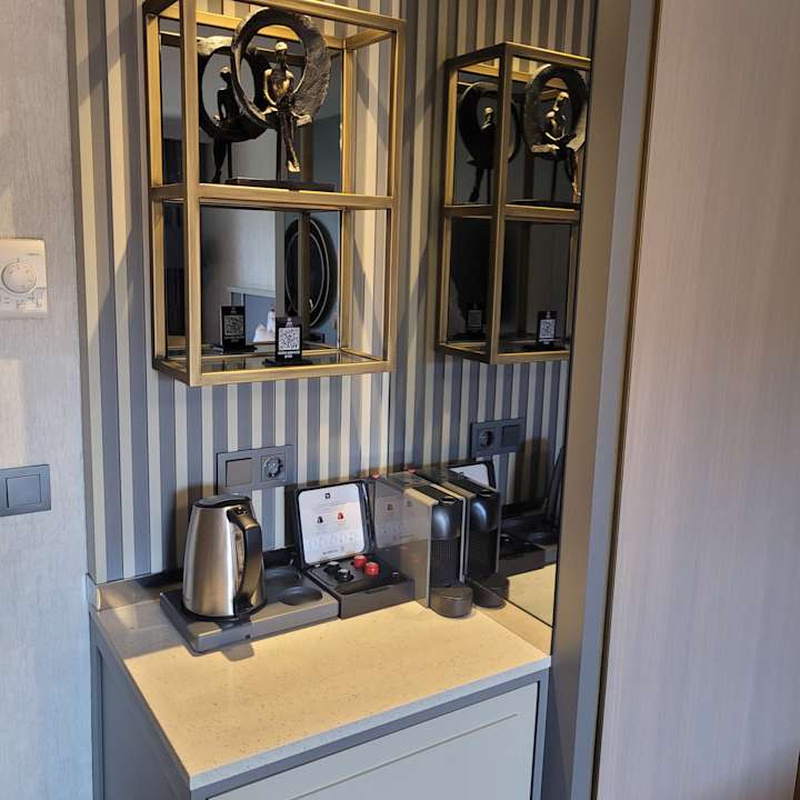 Zimmer Arum Barut Collection